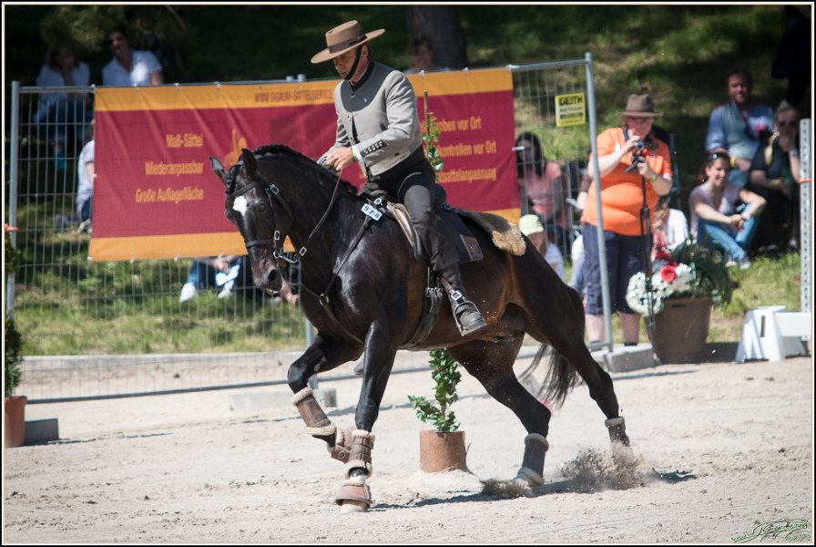 Pferd International 182